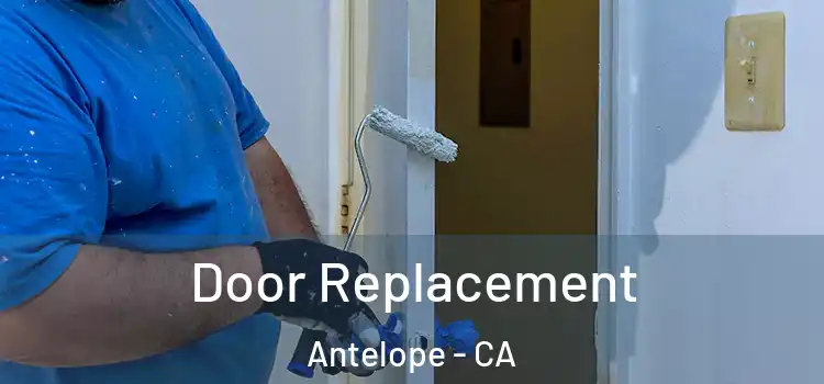 Door Replacement Antelope - CA