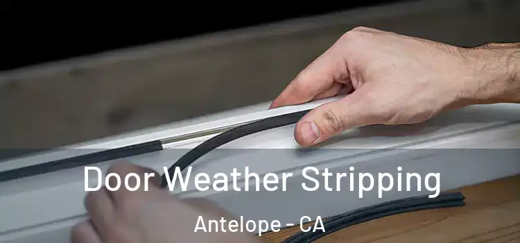 Door Weather Stripping Antelope - CA