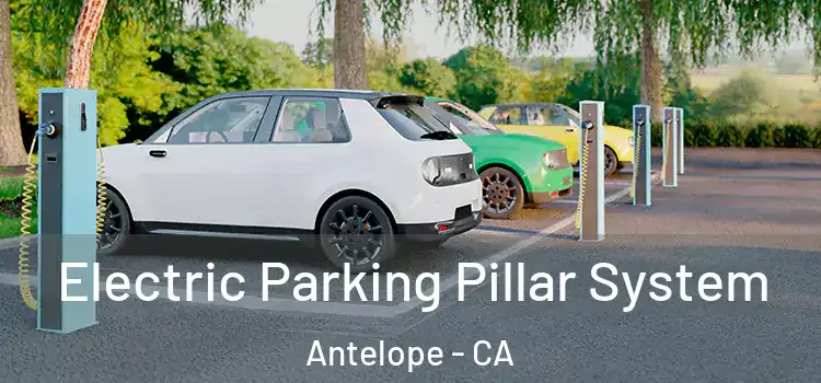 Electric Parking Pillar System Antelope - CA