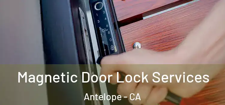 Magnetic Door Lock Services Antelope - CA